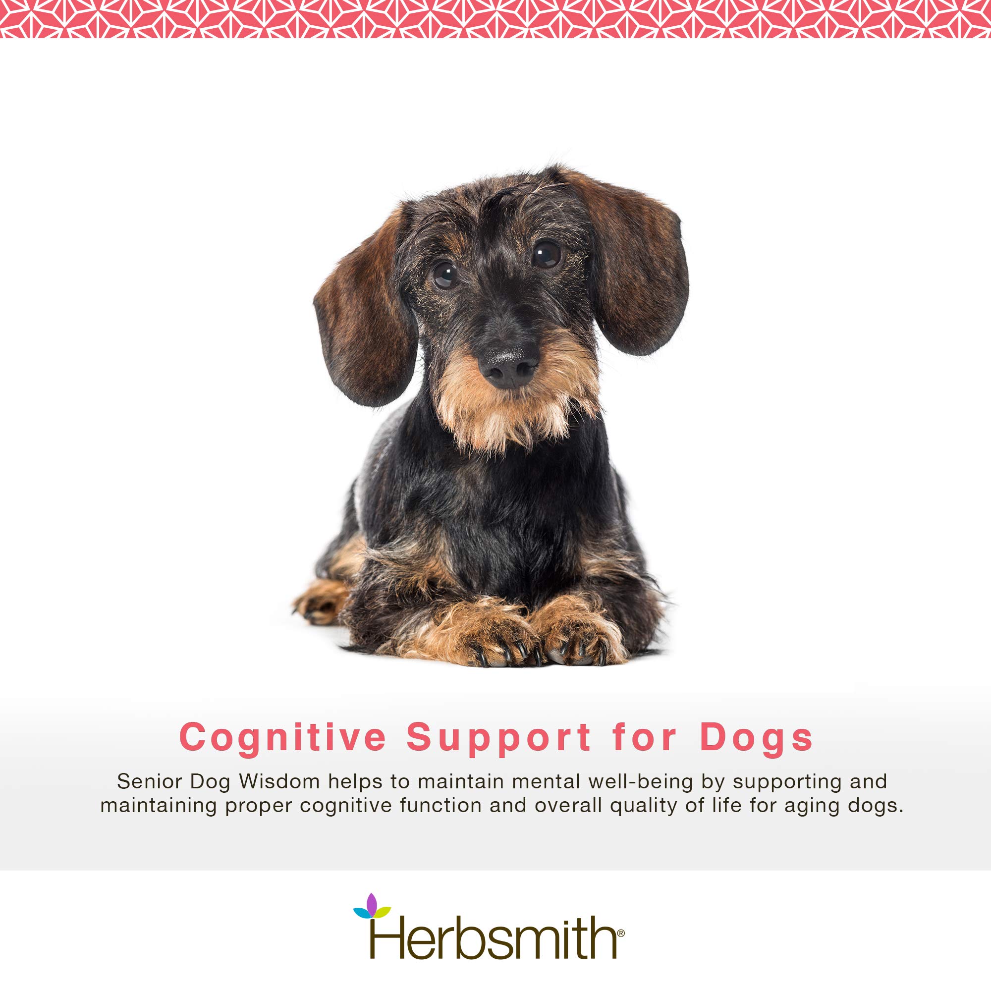 Herbsmith Senior Dog Wisdom – Cognitive Support Supplement for Aging Dogs with DHA – Brain Health & Memory Aid for Senior Dogs – 500g – Ideal for Older Dogs with Dementia or Cognitive Decline