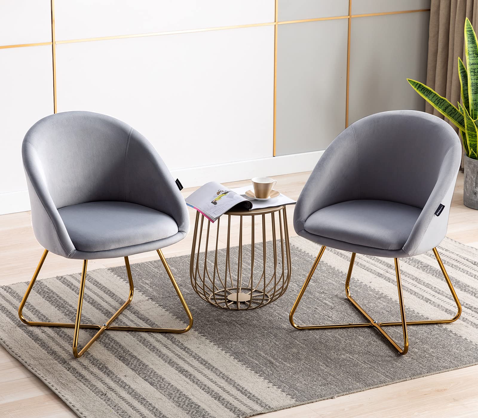 Artechworks Modern Velvet Dining Chairs Set of 2 - Luxury Accent Armchairs with Golden Metal Legs for Living Room, Bedroom, Dining Room & Office - Soft Grey Velvet Upholstered Lounge Chairs - Perfect for Home Decor, Hotel Reception & Coffee Shops