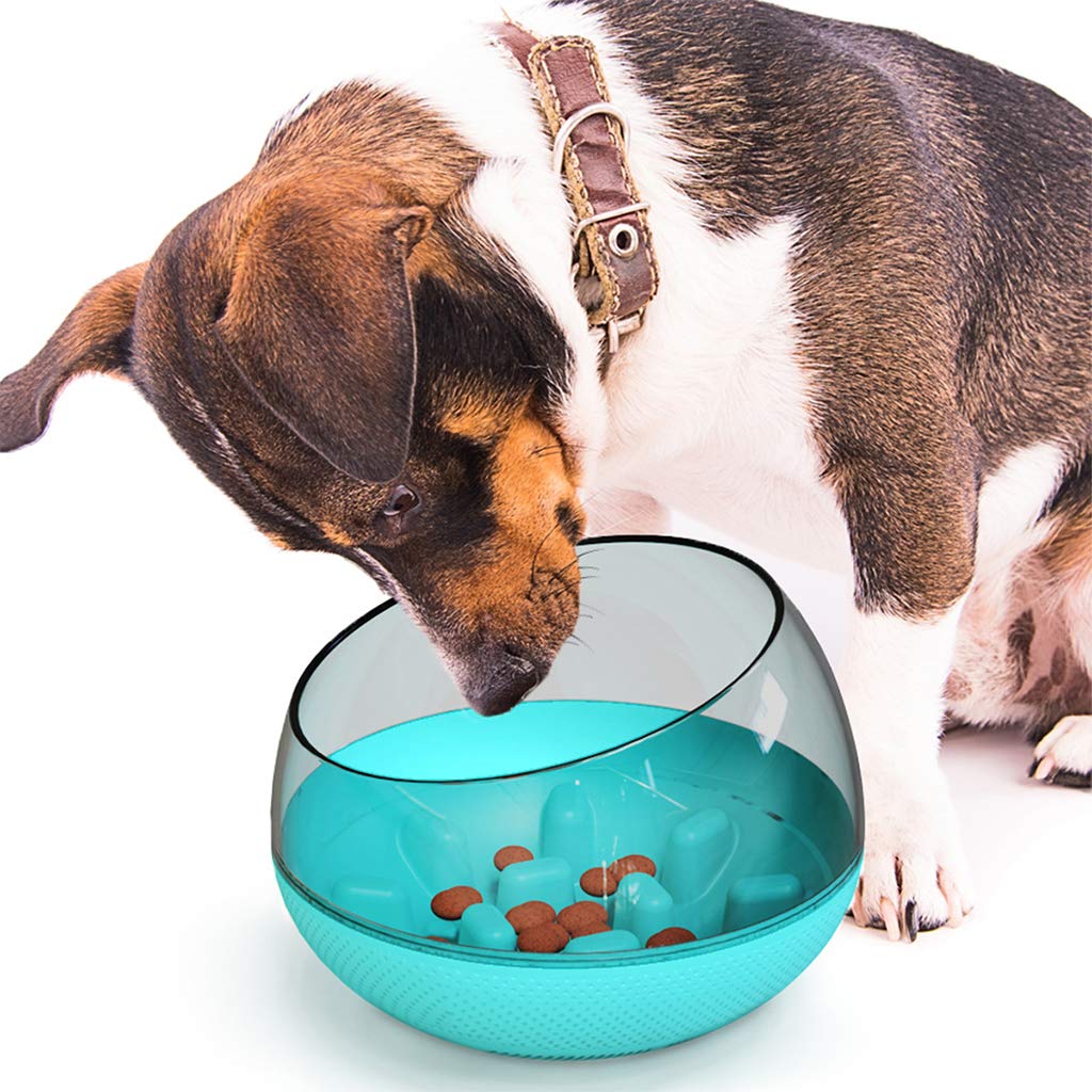 Non-Slip Round Bottom Slow Feeder Dog Bowl - Interactive Fun Maze Design for Small & Medium Dogs - Perfect for Mealtime Enrichment & Preventing Bloat (Blue)