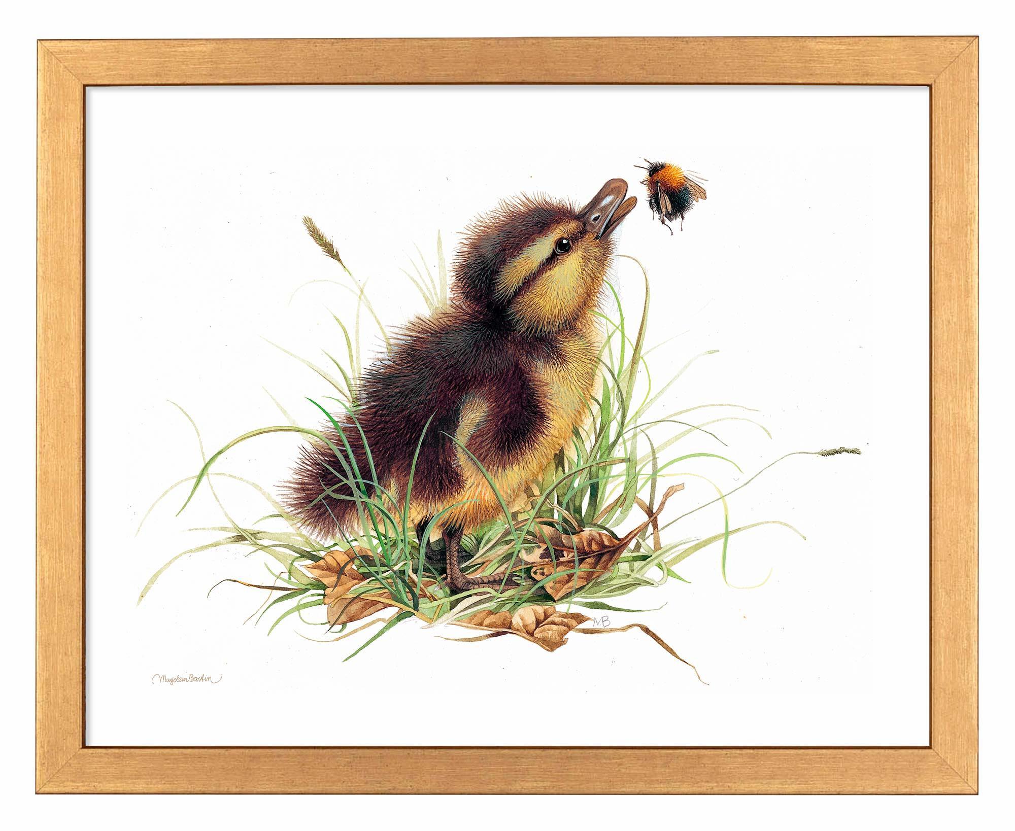 Funny Duckling Distraction Toy - Stress Relief & Fidget Gadget for Kids & Adults - Perfect for Office, School, and Home Use