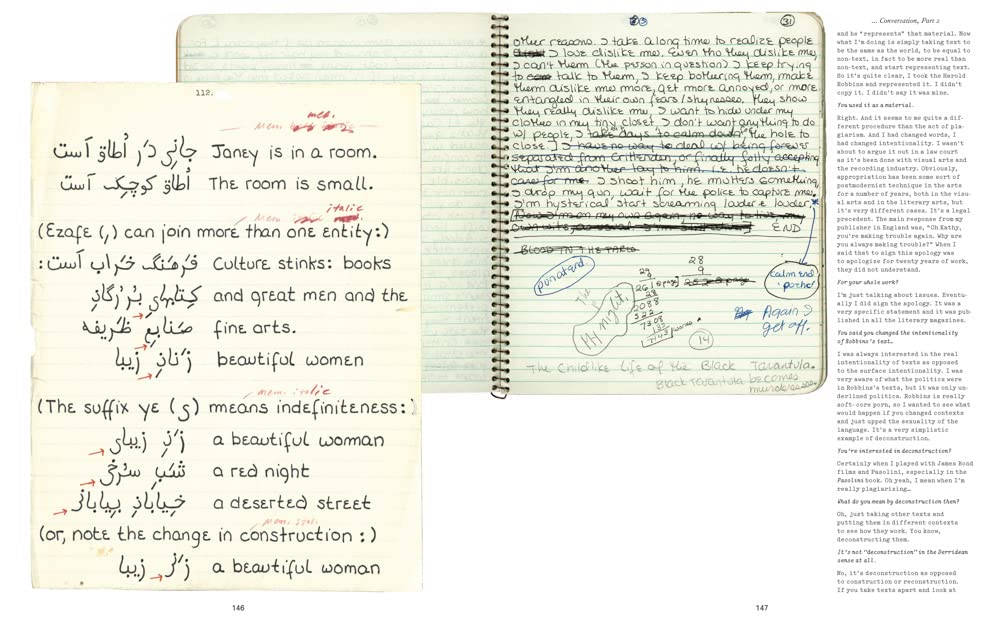 Kathy Acker Book - Get Rid of Meaning for Literary Studies