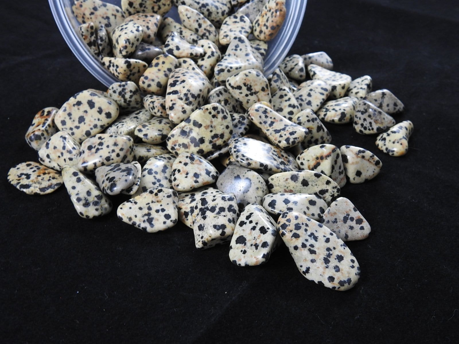 Dalmatian Jasper Tumbled Stones - Natural Polished Healing Crystals for Chakra Balancing, Meditation & Home Decor