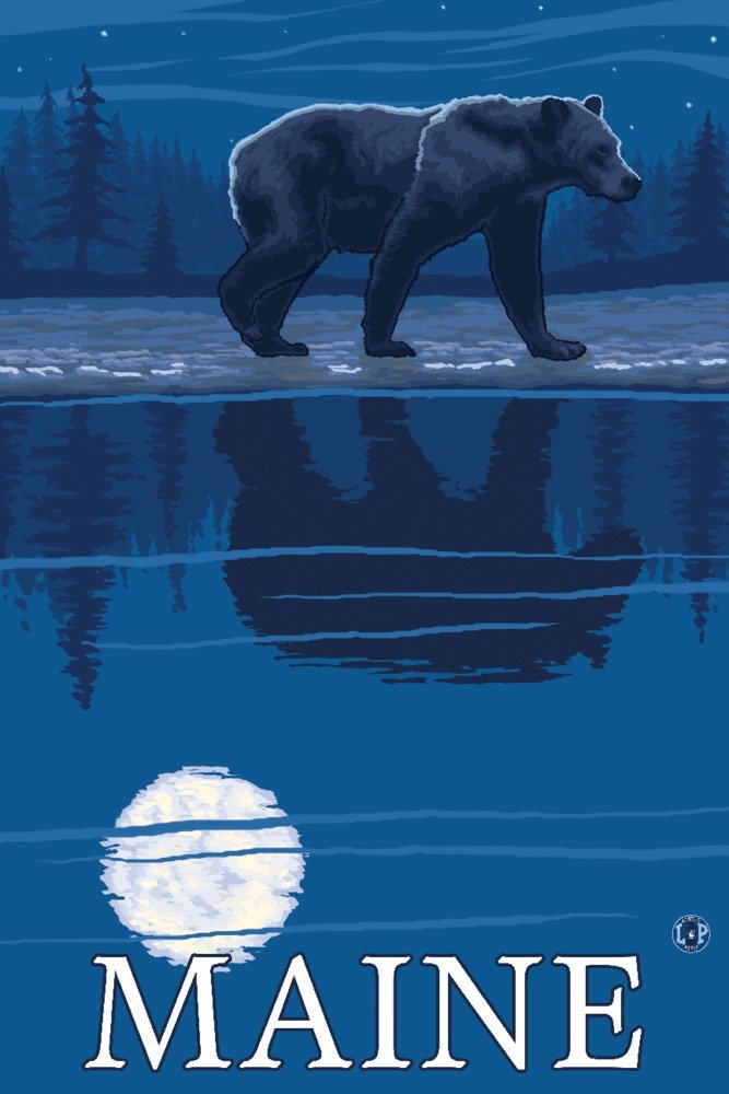 Maine Bear in Moonlight - 16x24 Giclee Art Print, Vivid Textured Wall Decor for Living Room, Bedroom & Office | Wildlife Nature Painting, Rustic Home Decor