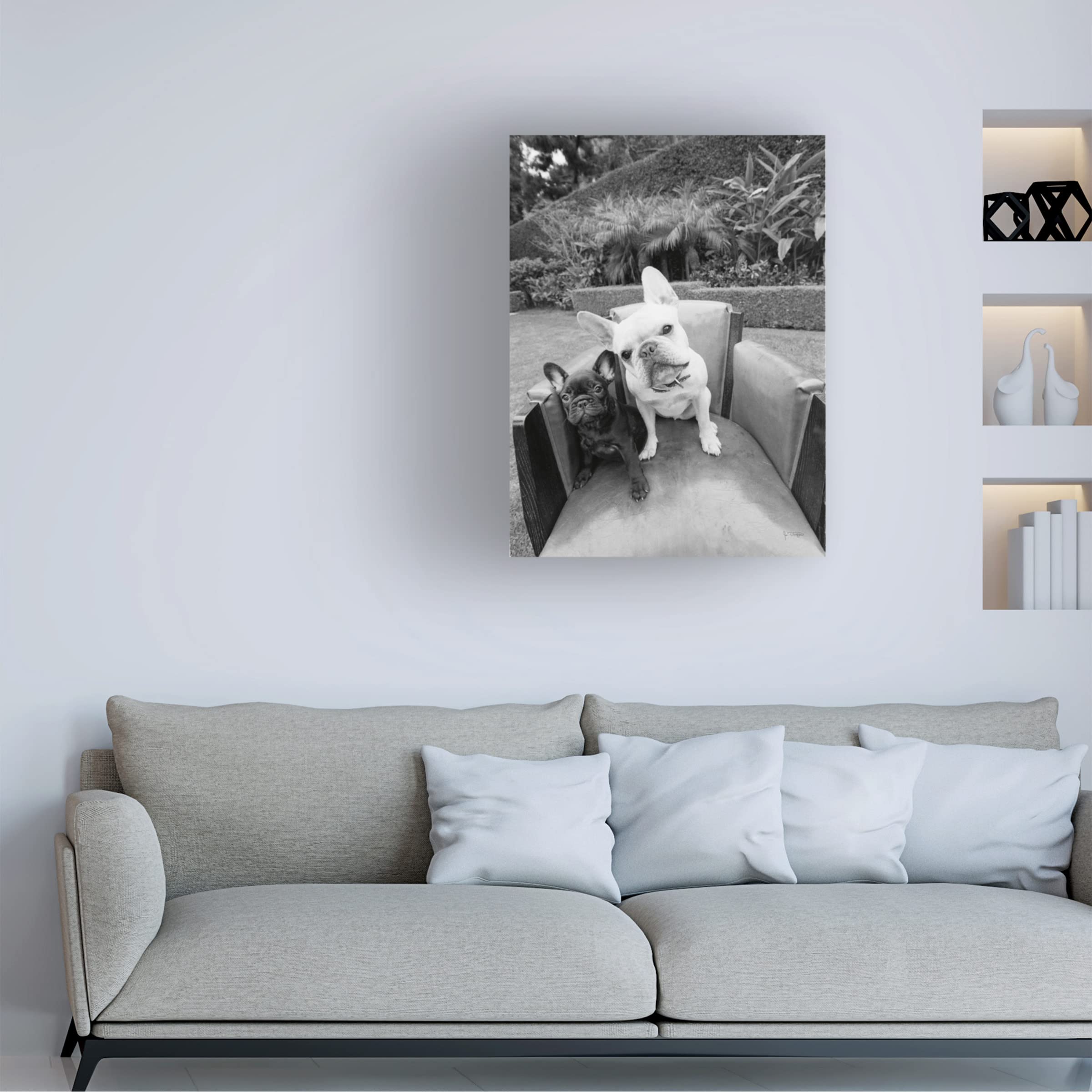 Trademark Fine Art 'Always Friends' Canvas Art by Jim Dratfield - Dog and Cat Friendship Wall Decor for Living Room, Bedroom & Office