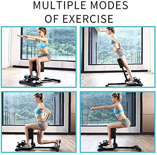 Leikefitness Sissy Squat Machine 83002 & Folding Exercise Bike 2200 (Blue) - Home Gym Equipment Bundle for Leg Workouts and Cardio Training