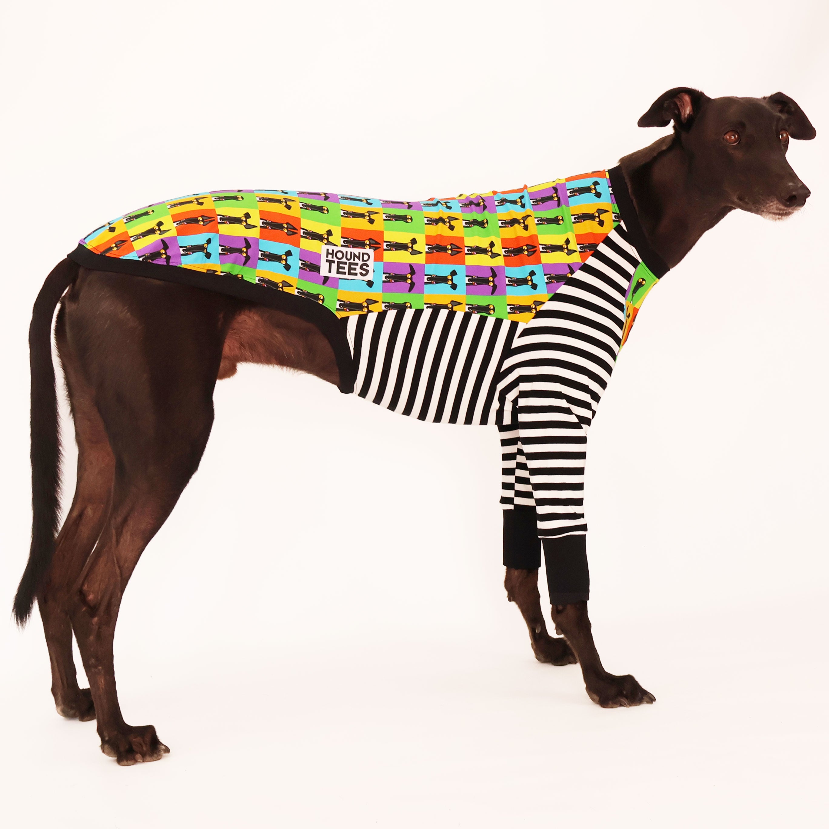 Semaphore Greyhound Long Sleeve Hound Tee - Stylish Dog Lover T-Shirt for Men & Women - Perfect for Casual Wear, Dog Walks, and Pet Owner Gifts