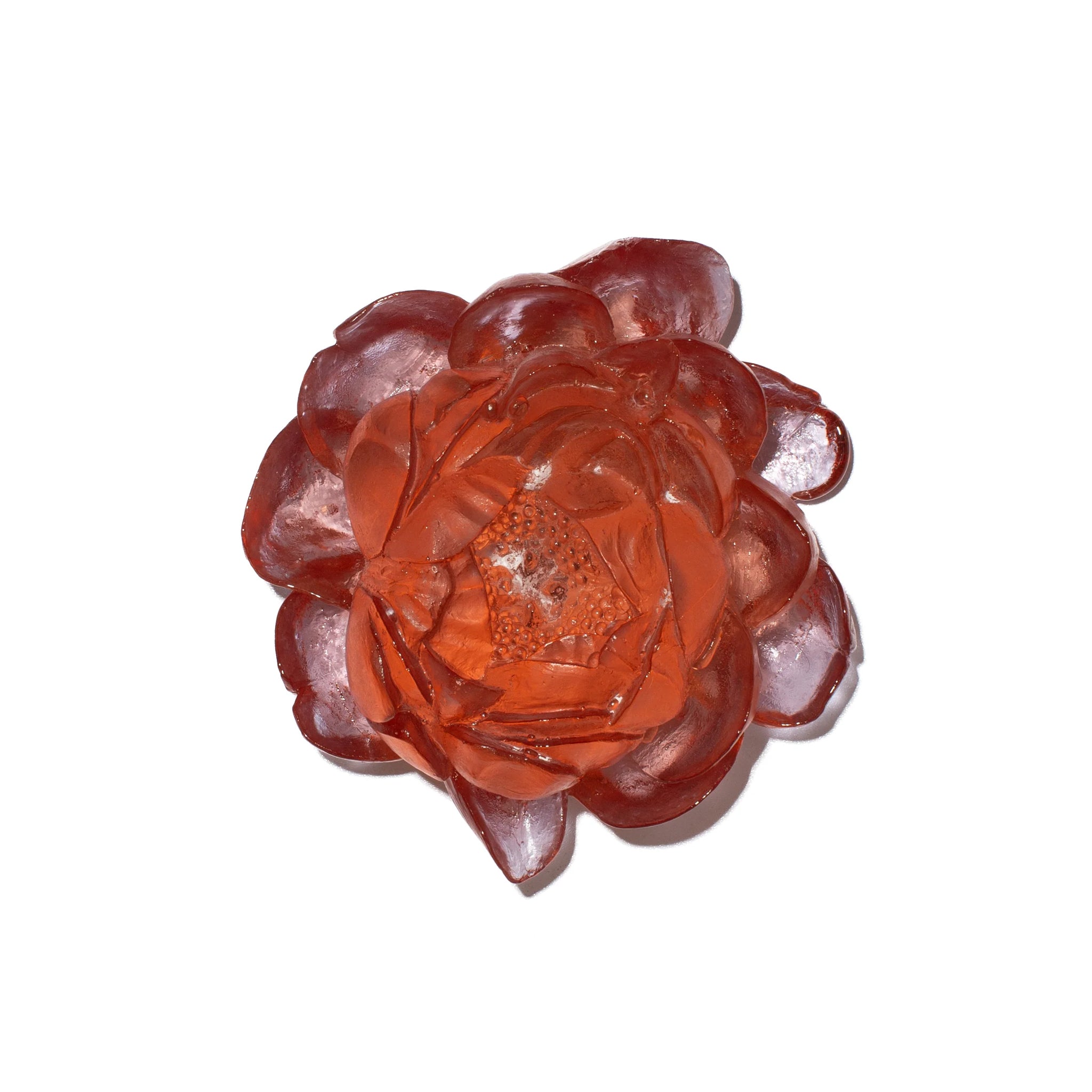 Handmade Glass Peony Wall Sculpture - Elegant Floral Art Decor by Luke Jacomb Studio | Perfect for Living Room, Bedroom & Office Wall Decor