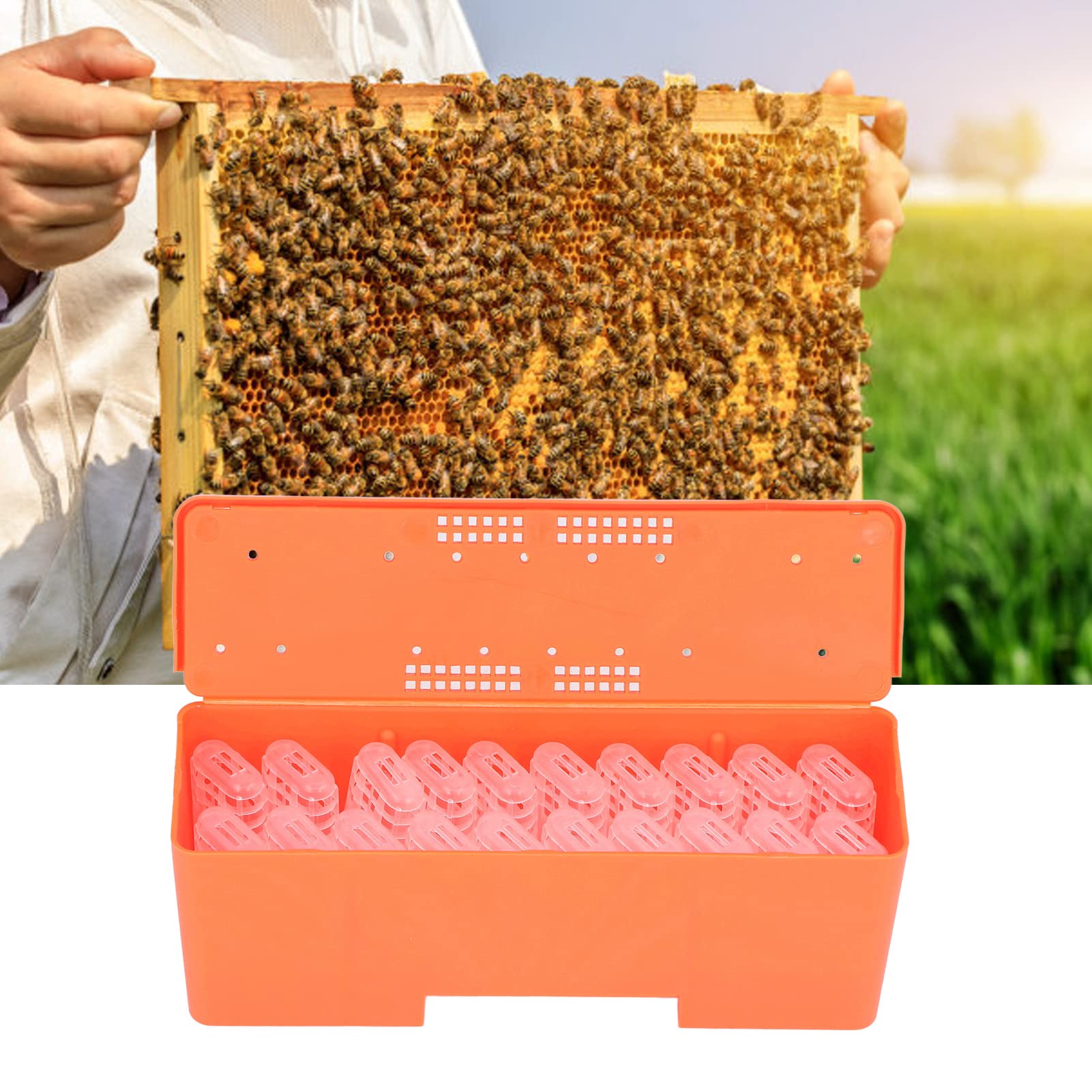 20Pcs Queen Bee Rearing Cage - Transparent Beekeeping Tool for Queen Bee Transport & Breeding | Lightweight & Easy Installation | Perfect for Beekeepers & Apiary Management