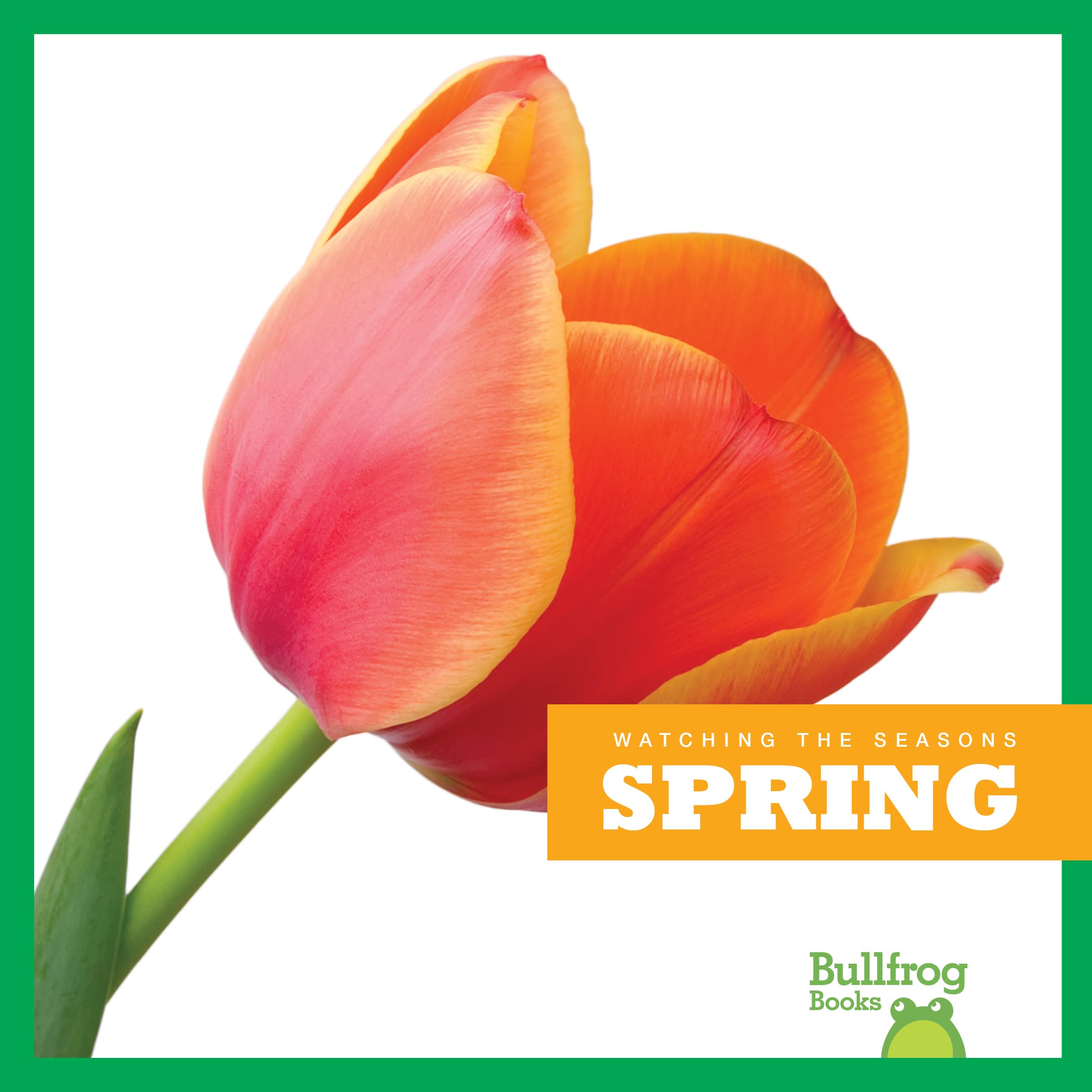 Bullfrog Books: Spring Season Guide for Kids