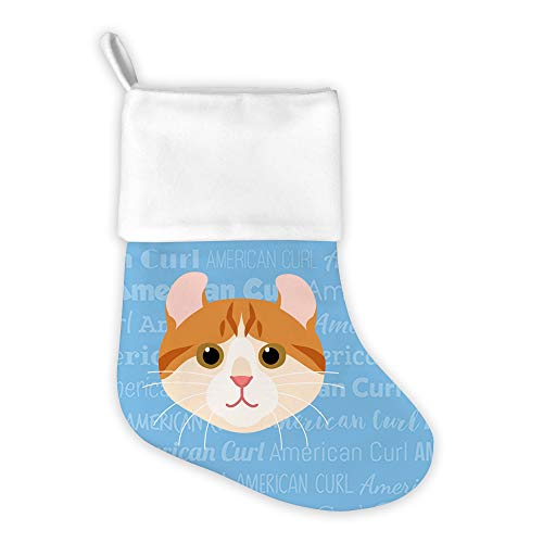 American Curl