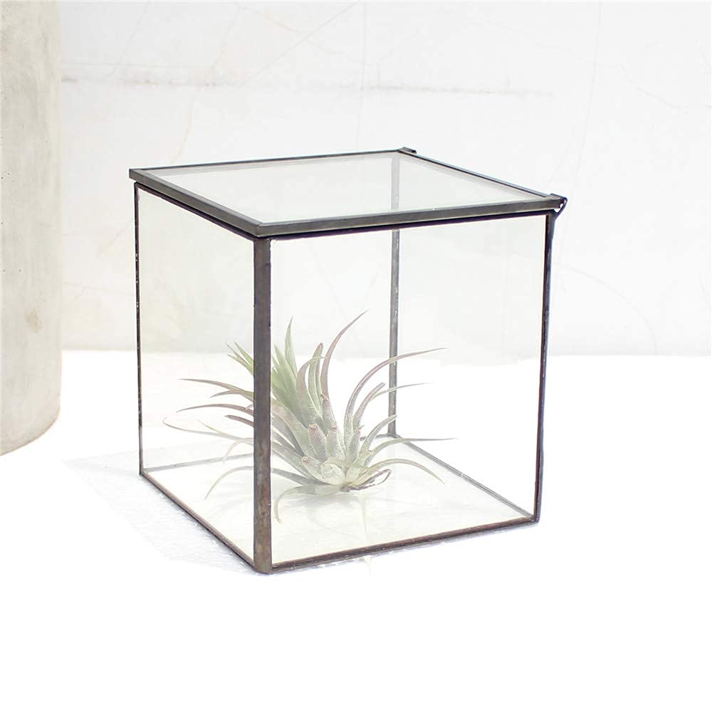 Square Glass Terrarium with Lid - 4.3x4.3x4.7 Inch Small Indoor Plant Box for Succulents, Moss & Air Plants - Handmade Geometric Tabletop Planter in Black - Perfect for Home Decor, Office Desk & Gift Ideas