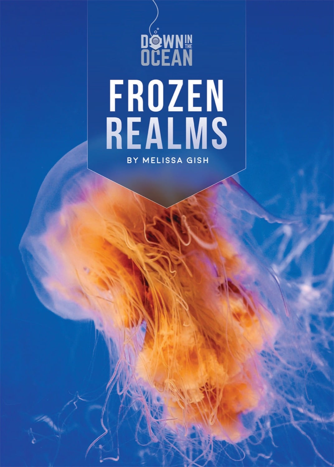 Frozen Realms Book - ISBN 9781608189977 - Fantasy Adventure Novel for Winter Reading & Gifts