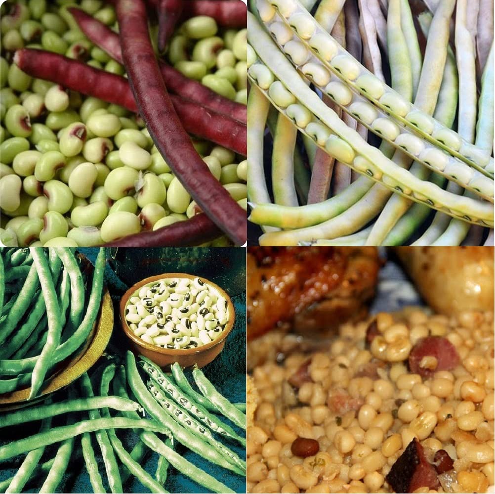 David's Garden Seeds Southern Pea 4 Variety Pack - 400 Non-GMO Heirloom Seeds for Home Gardening, Canning & Southern Cooking | Premium Quality Vegetable Seeds for Planting Outdoors