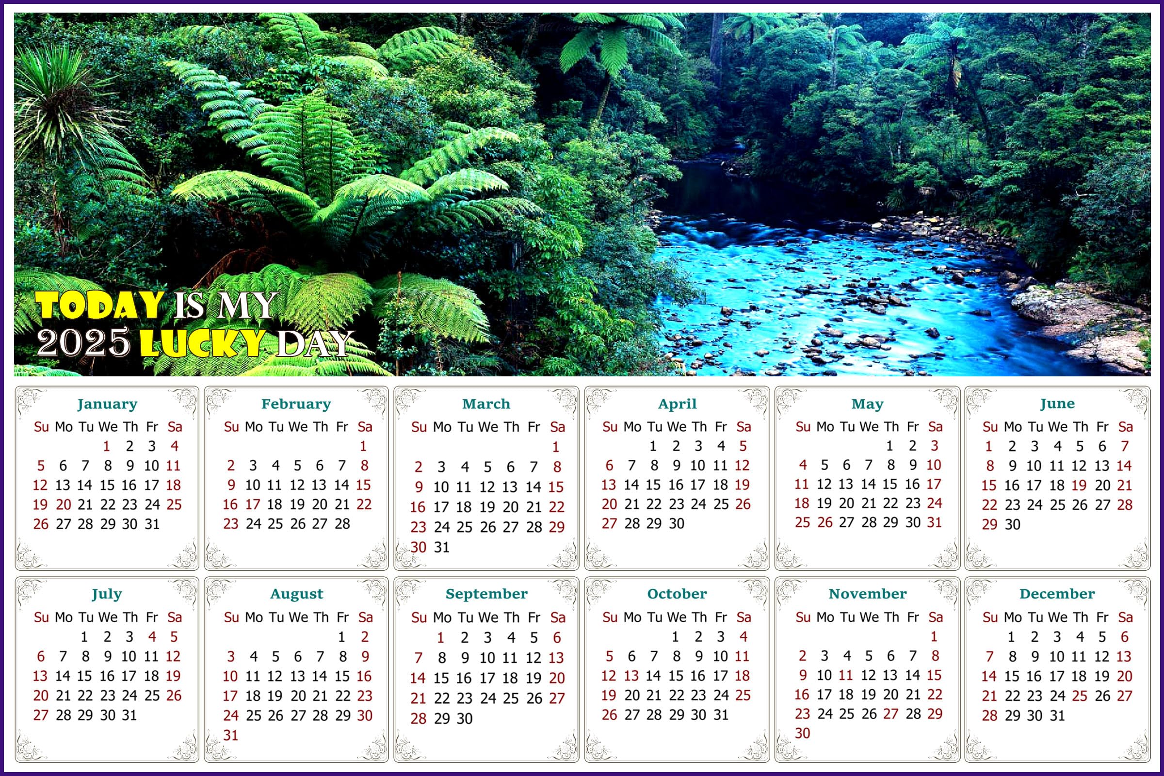 2025 Magnetic Calendar - Durable Fade, Tear & Water Resistant Calendar Magnets - 