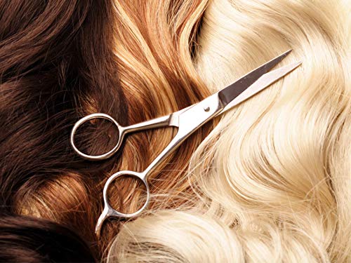 Professional Hair Cutting Scissors for Salon & Barber - Razor Edge Shears for Men & Women - Styling, Trimming & Thinning Tools - Perfect for Home & Professional Use