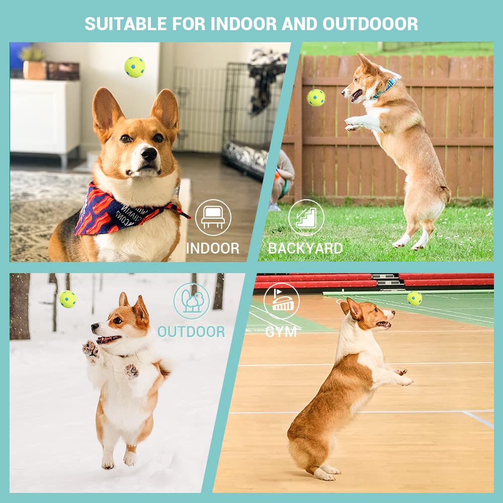 Automatic Dog Ball Launcher - Interactive Fetch Machine for Dogs with 6 Durable High-Bounce Balls | Perfect for Backyard Play, Training & Exercise | Great for Small, Medium & Large Dogs