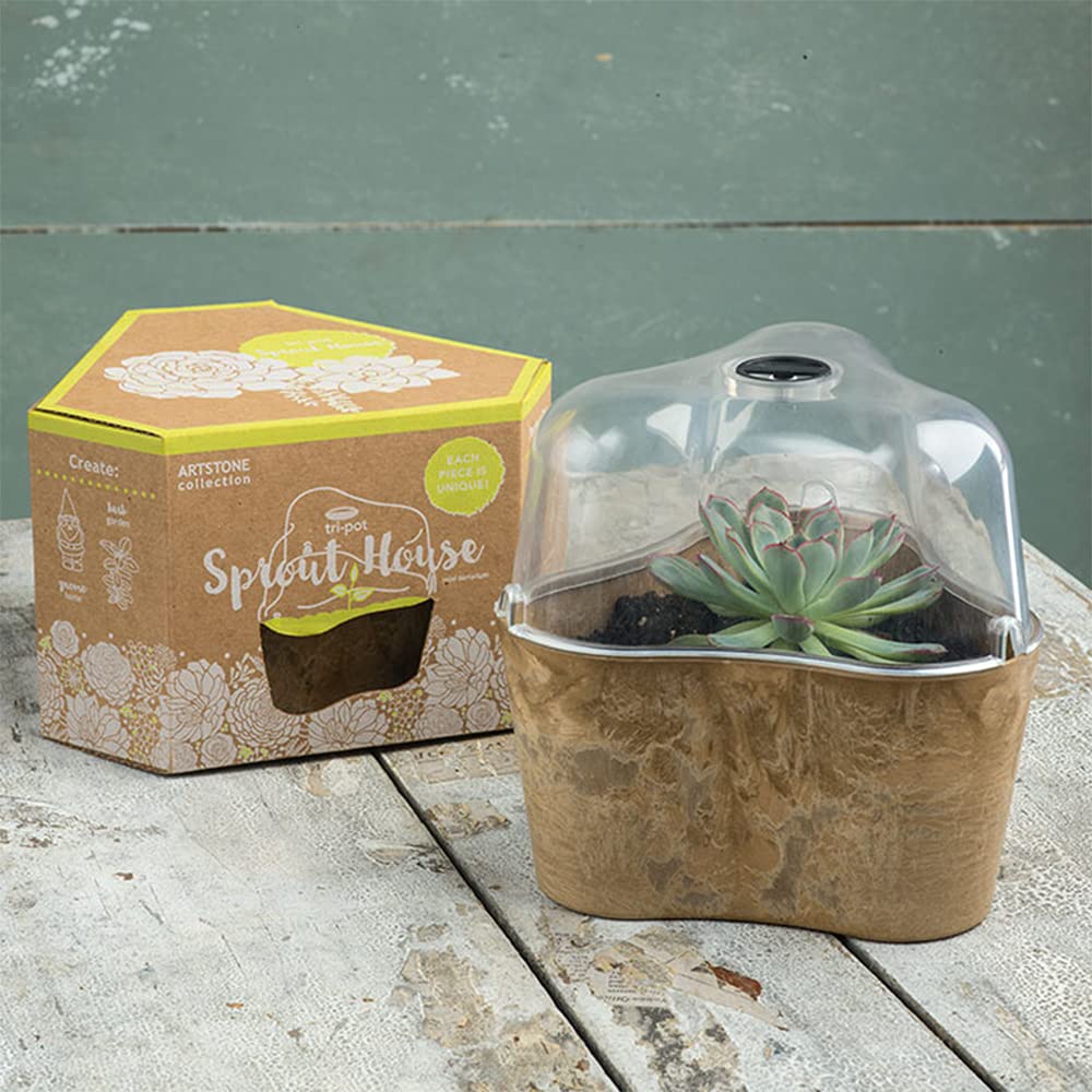 Tri-Pot Terrarium - 3 Piece Glass Plant Terrarium Kit for Succulents, Air Plants & Home Decor | Perfect for Indoor Gardening, Office Desk & Gift Ideas