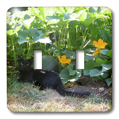 3D Rose Black Cat in The Pumpkin Patch Double Toggle Switch - Decorative Wall Switch Cover for Halloween, Kitchen, Bedroom, and Home Decor
