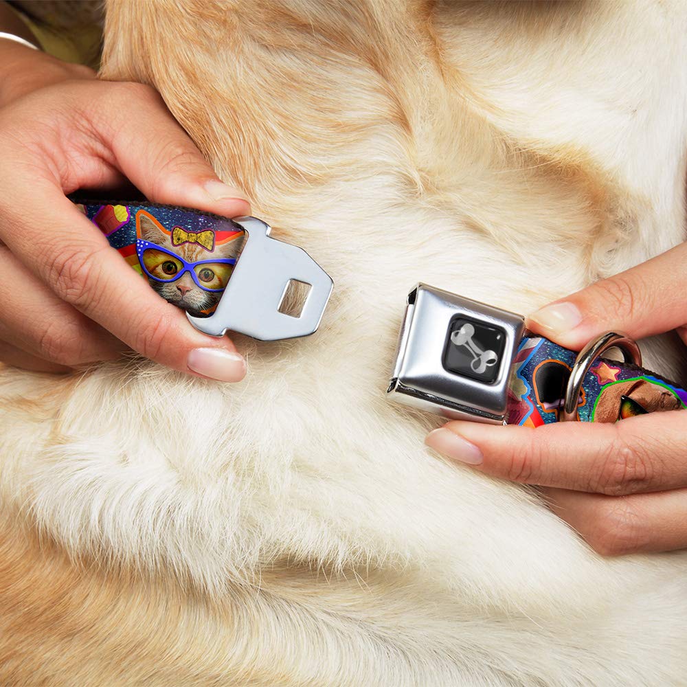 Buckle-Down Seatbelt Buckle Dog Collar - Rainbow Collage Design - 1.5