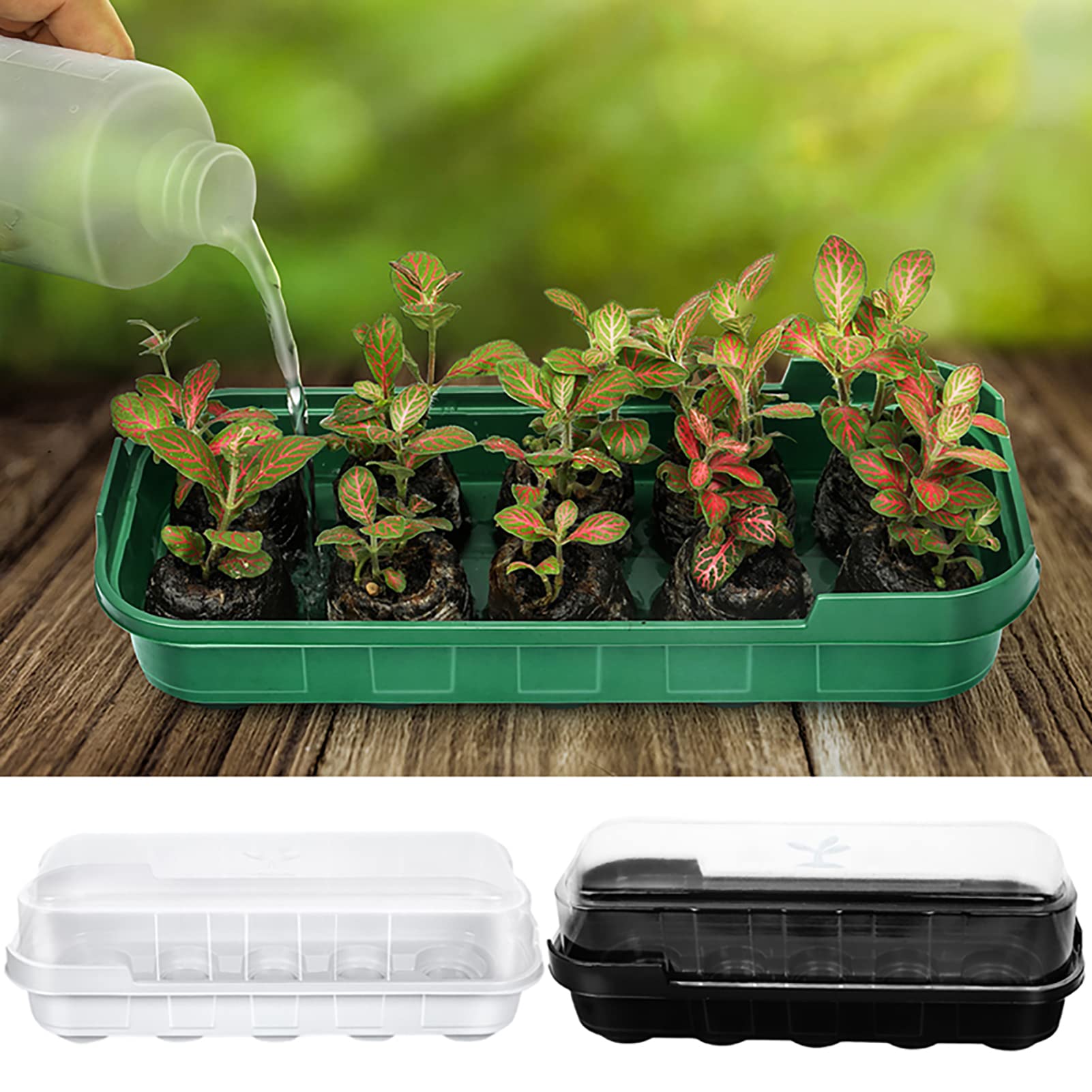 NUZYZ 6Pcs Plant Nursery Trays - Moisture-Proof Root Protection, 10 Grid Plastic Seed Starter Kit for Indoor/Outdoor Gardening, Balcony & Home Planting (Black) | Perfect for Herbs, Flowers & Vegetable Seedlings