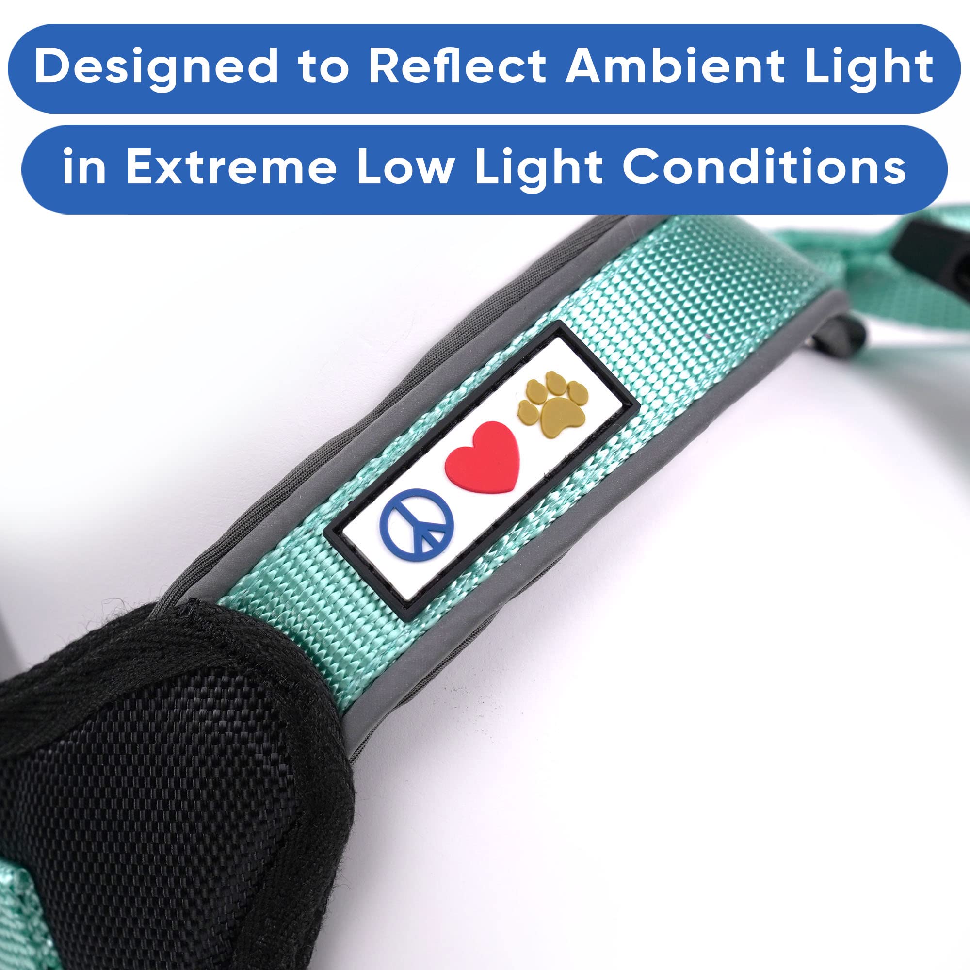 Pawtitas Reflective Padded Dog Harness - Comfortable & Adjustable Pet Vest for Walking, Running & Night Safety - Medium Size Teal Blue - Perfect for Small to Medium Dogs Outdoor Adventures