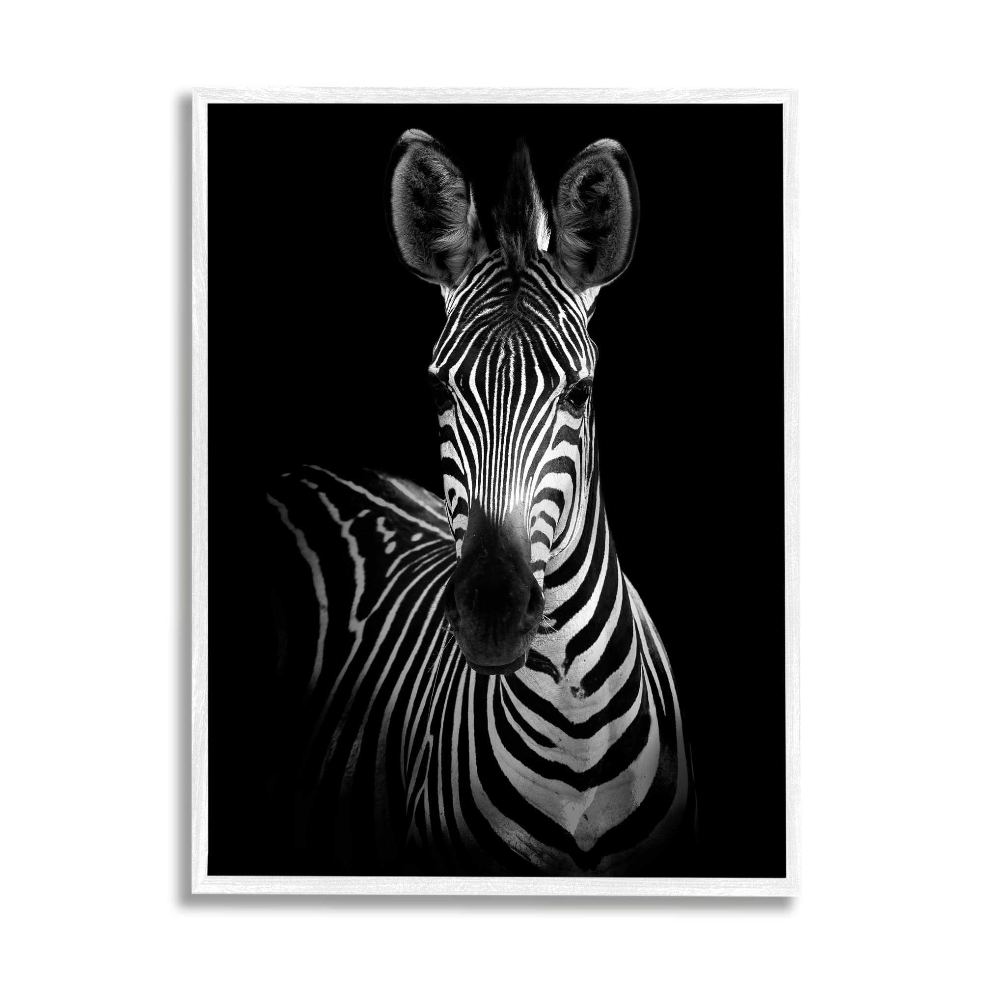 Striking Black and White Zebra Portrait Photography Wall Art - Premium Canvas Print by Stupell Industries | Modern Home Decor for Living Room, Bedroom & Office
