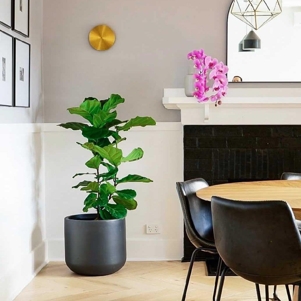 Gossa Sconce Wall Light - Modern LED Wall Sconce for Bedroom, Living Room & Hallway - Energy Efficient Indoor Lighting Fixture with Adjustable Brightness