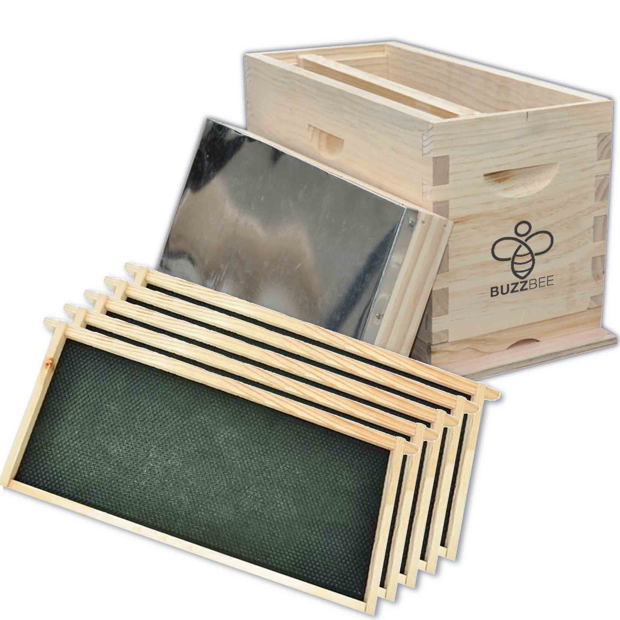 Buzzbee NUC Hive - 5 Frame Starter Beehive Kit for Beekeeping Beginners | Ideal for Honey Production & Pollination in Backyard Gardens
