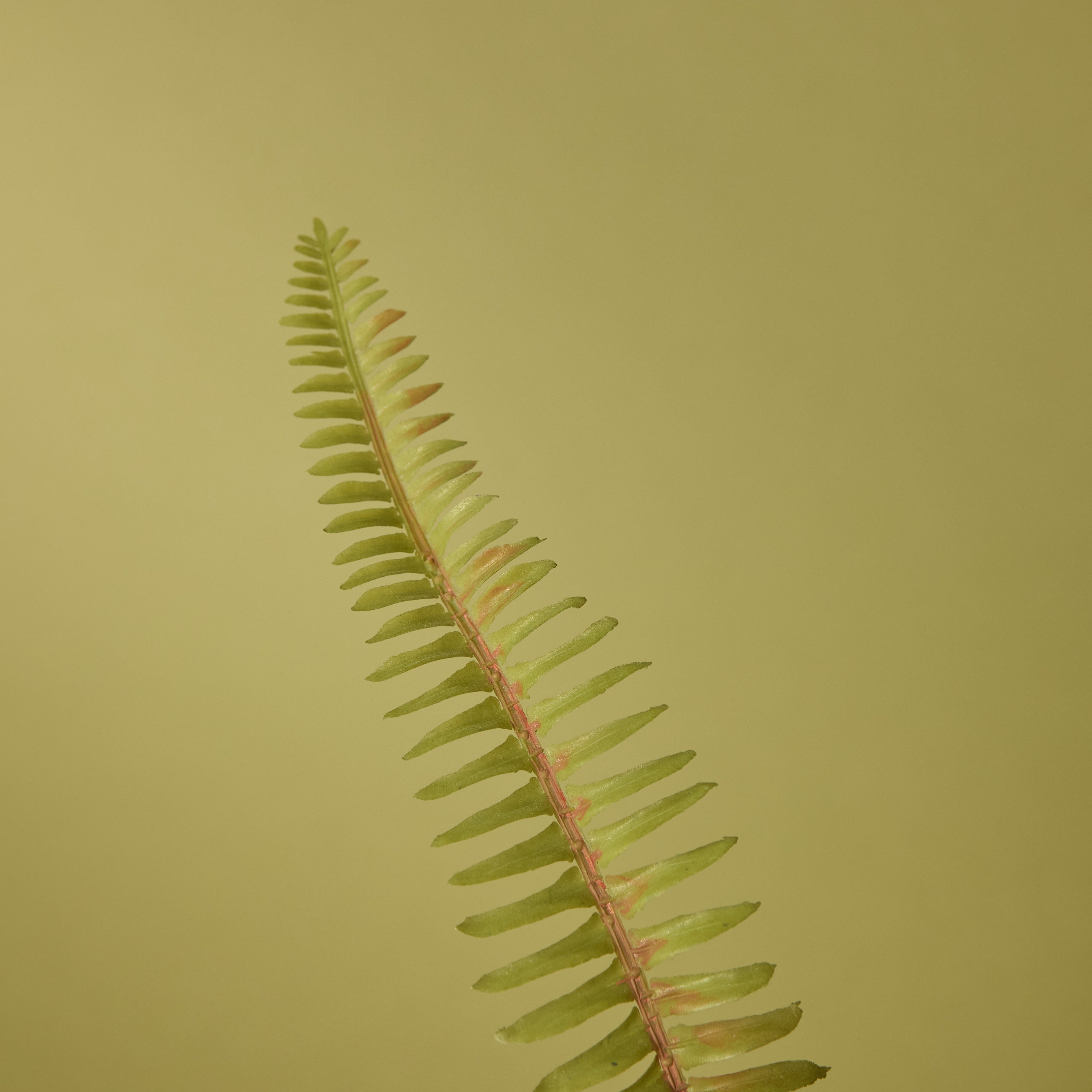 Artificial Boston Fern Plant in White Pot - 18 Inch Tall Hanging or Tabletop Decor for Home, Office, and Indoor Spaces