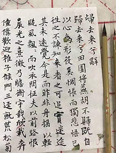 Premium Chinese Calligraphy Brush - Xiaokai Weasel Hair Brush for Small Regular Script | Professional Japanese Kanji Writing Tool | Ideal for Beginners & Artists | Perfect for Traditional Calligraphy Practice & Zen Meditation