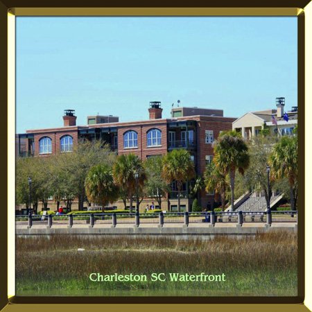 3D Rose Charleston SC Waterfront Outlet Cover - Decorative Electrical Plate - Perfect for Home, Office, and Gifts - Coastal Decor for Living Room, Bedroom, or Kitchen