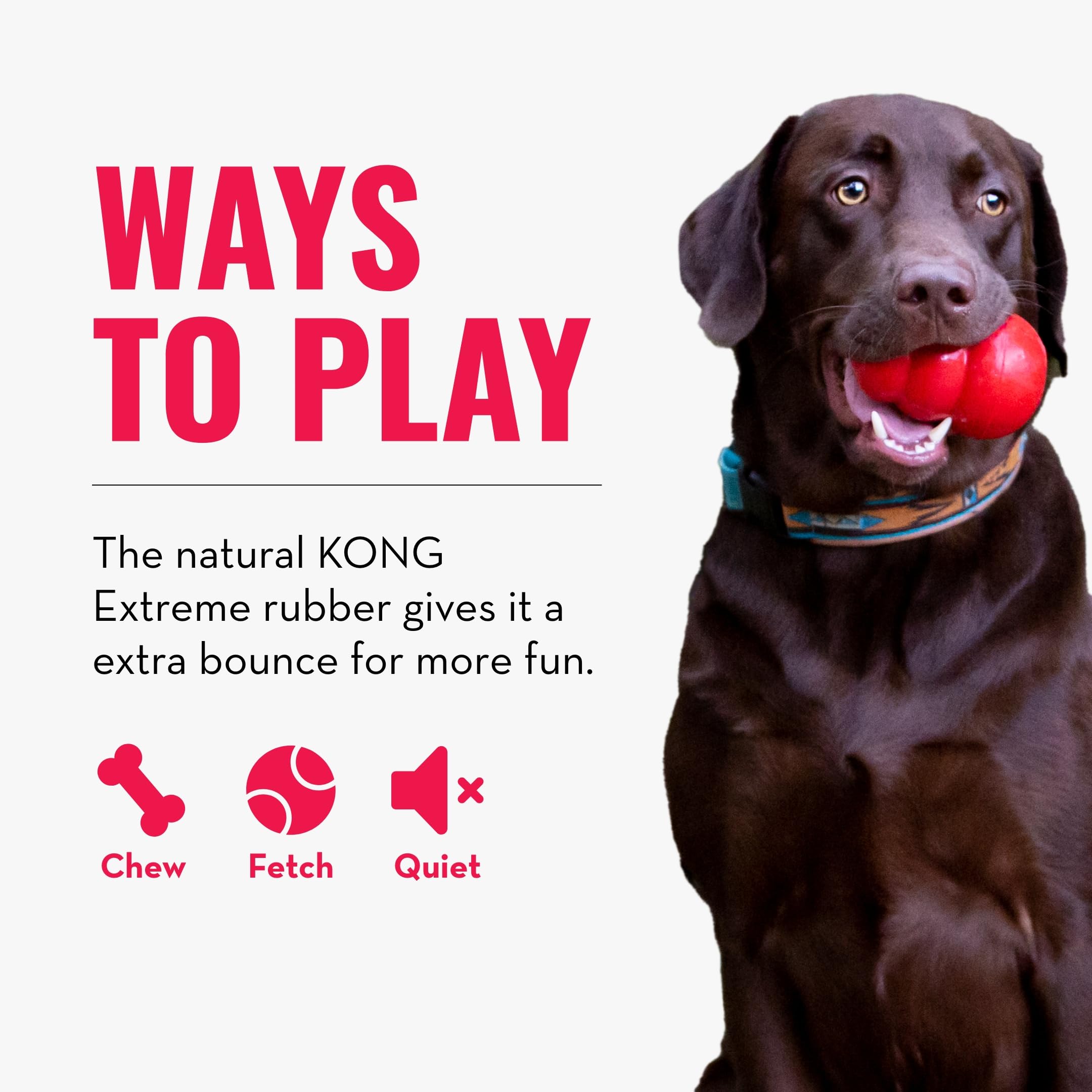 KONG Extreme Ball with Hole - Durable Dog Fetch Toy for Training & Interactive Play - Natural Rubber Chew Toy for Small Dogs - Perfect for Outdoor Exercise, Indoor Play & Puppy Training