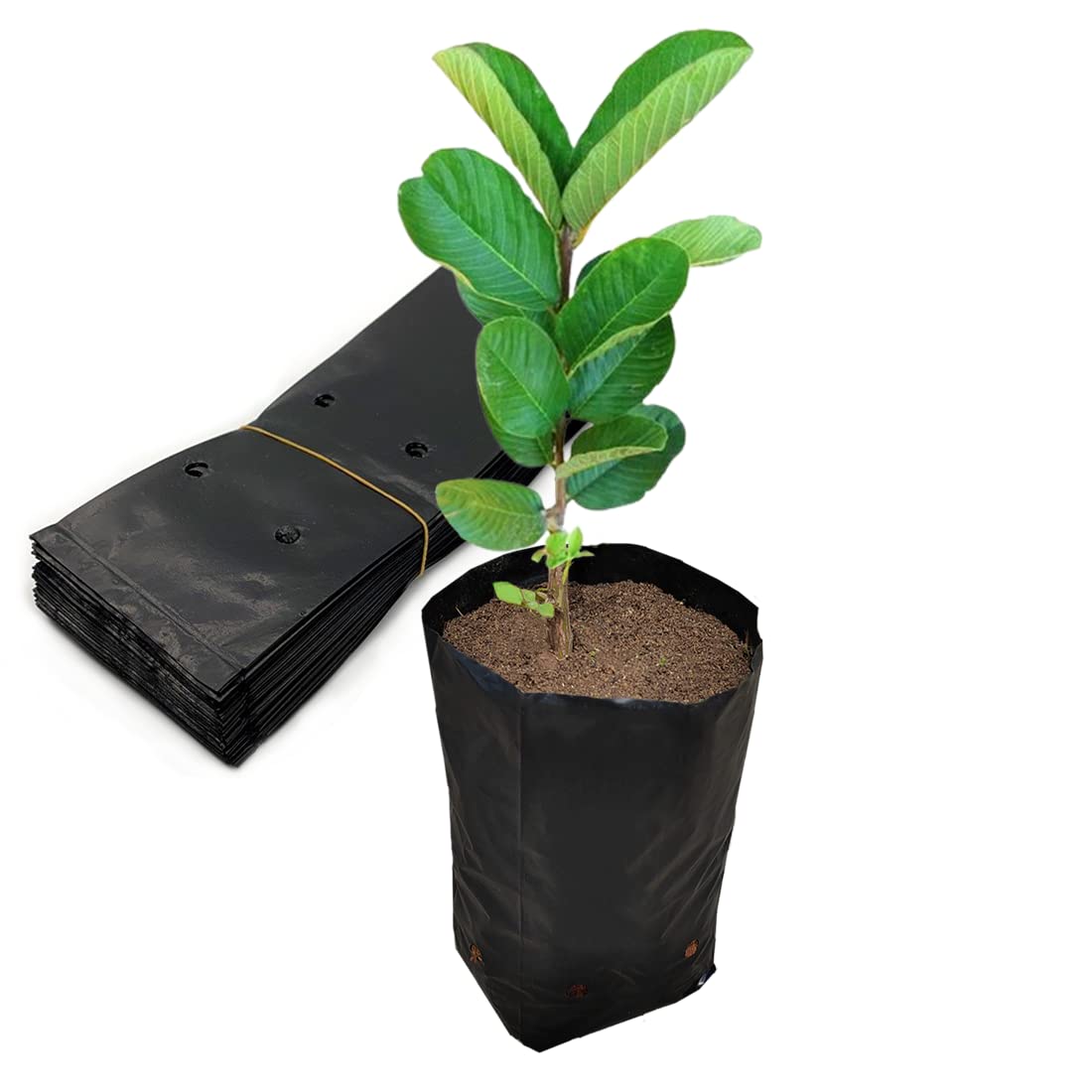 Belit 100 Pcs Plant Nursery Bags - 3.5