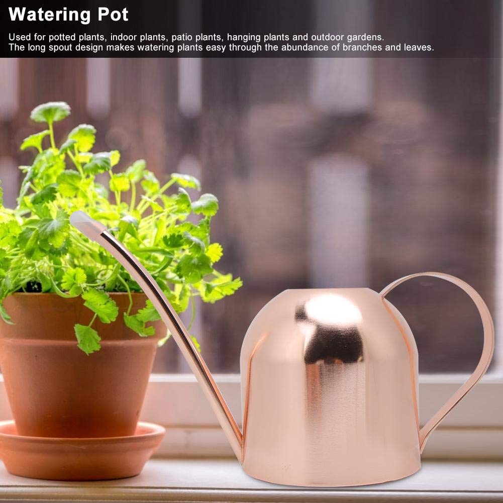 Stainless Steel Watering Can 1000ml - Long Spout Garden Watering Pot for Indoor/Outdoor Plants, Flowers & Herbs | Modern Design Plant Water Container for Balcony, Patio & Home Gardening