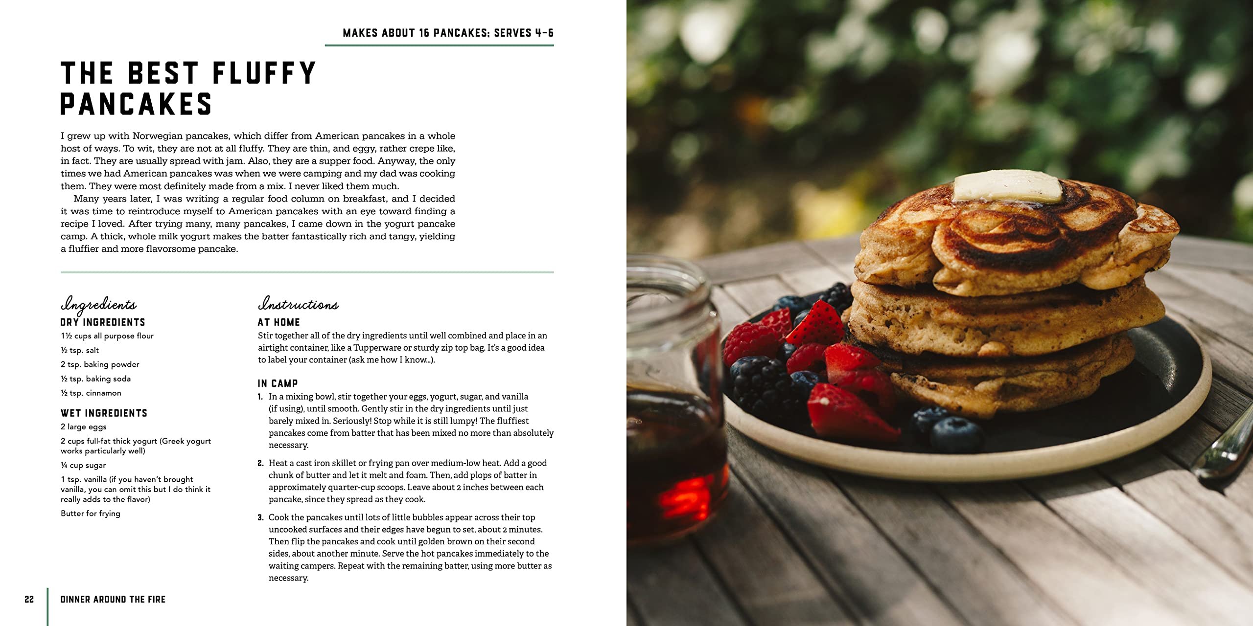 **The Family Camp Cookbook: Easy, Fun & Delicious Outdoor Meals for Camping, Hiking & Backyard BBQs – Perfect for Family Adventures & Outdoor Cooking**