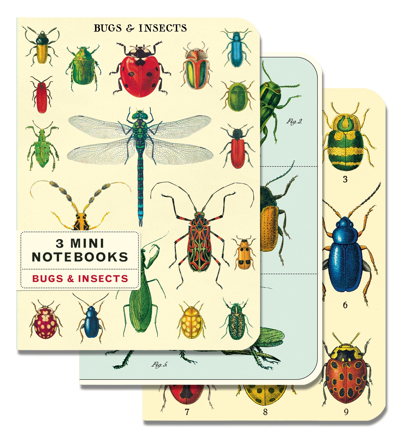 Bugs & Insects 3 Mini Notebook Set - Cute Insect-Themed Pocket Notebooks for Journaling, Sketching & Note Taking - Perfect for Students, Nature Lovers & Outdoor Adventures