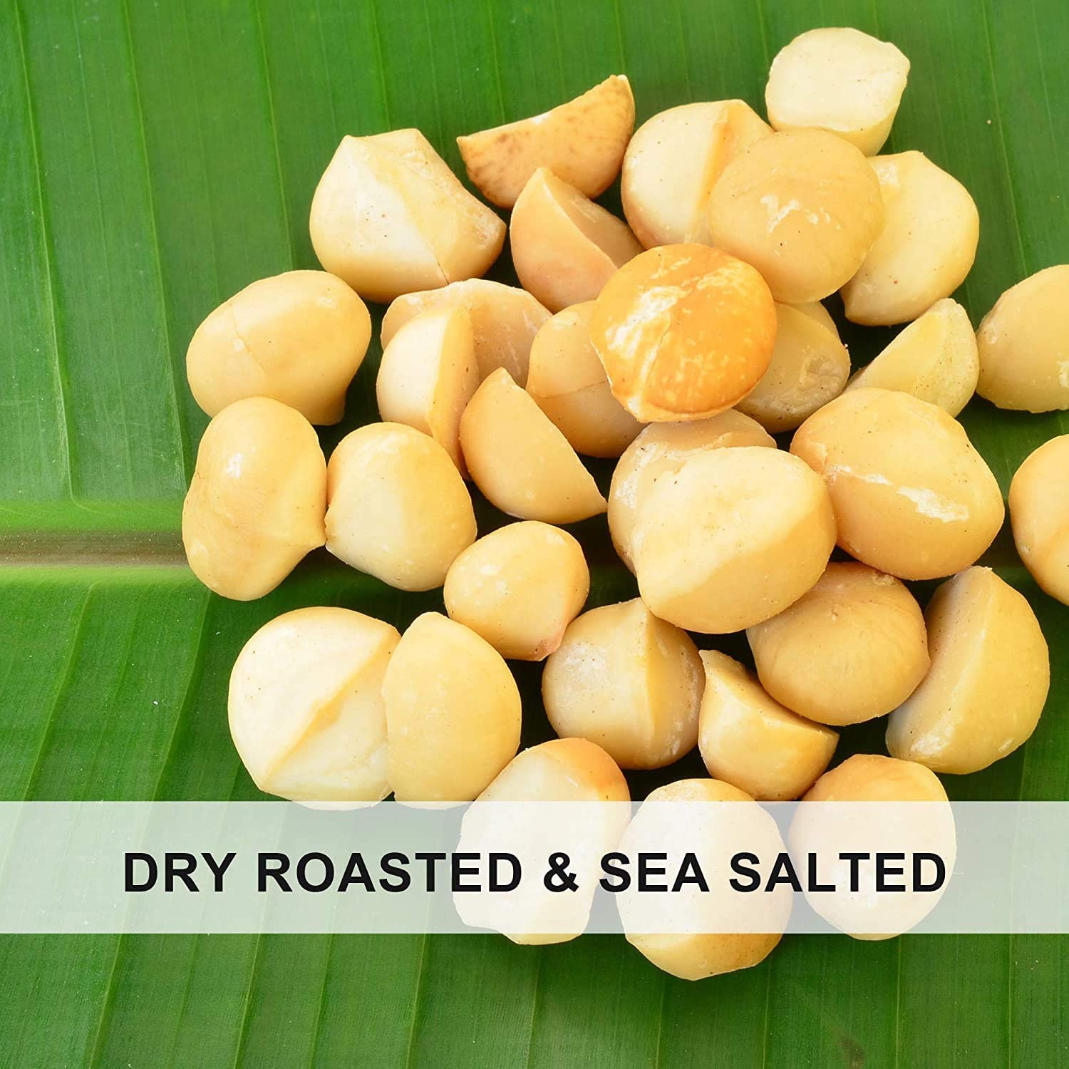 Roasted & Salted Macadamia Nuts - Raw, Natural, Non-GMO, Gluten-Free, Healthy Fats - Perfect for Snacking, Emergency Food Supply & Survival Kits - 8oz Half-Pound Bag