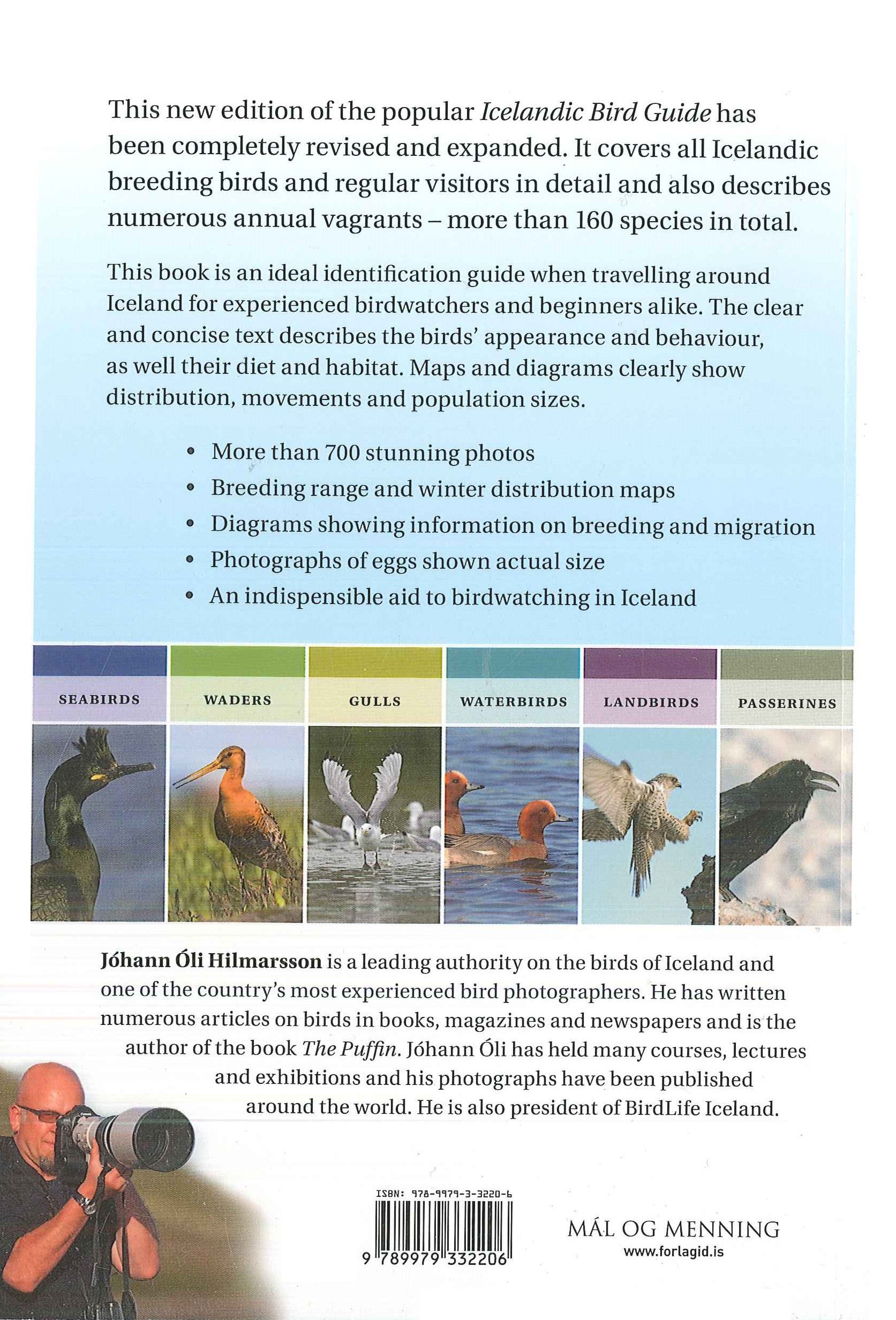 Icelandic Bird Guide: Species, Behavior & Habitat | Birdwatching & Nature Exploration in Iceland