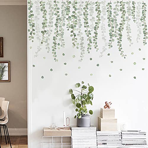 Eucalyptus Leaves