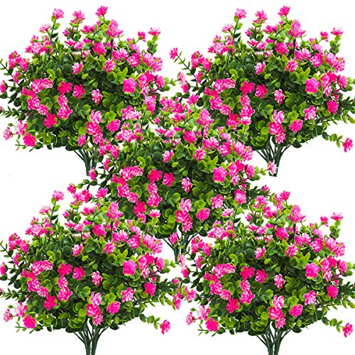 Pink-eucalyptus