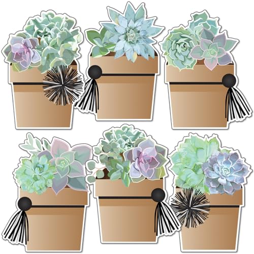 Potted Succulents
