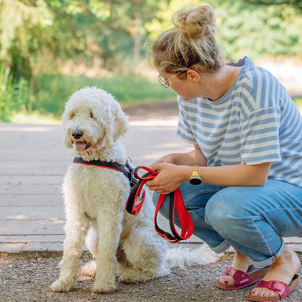 Preno Mesh Training Leash for Dogs - 200 cm (6.5 ft) Long, 25-35 mm Wide, Durable & Comfortable Pink Dog Leash - Perfect for Walking, Running, and Outdoor Training with Your Pet