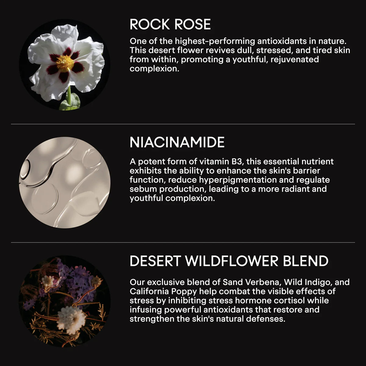 Rock Rose Active Serum for Face - Anti-Aging & Hydrating Facial Treatment | Perfect for Daily Skincare Routine & Nighttime Regimen