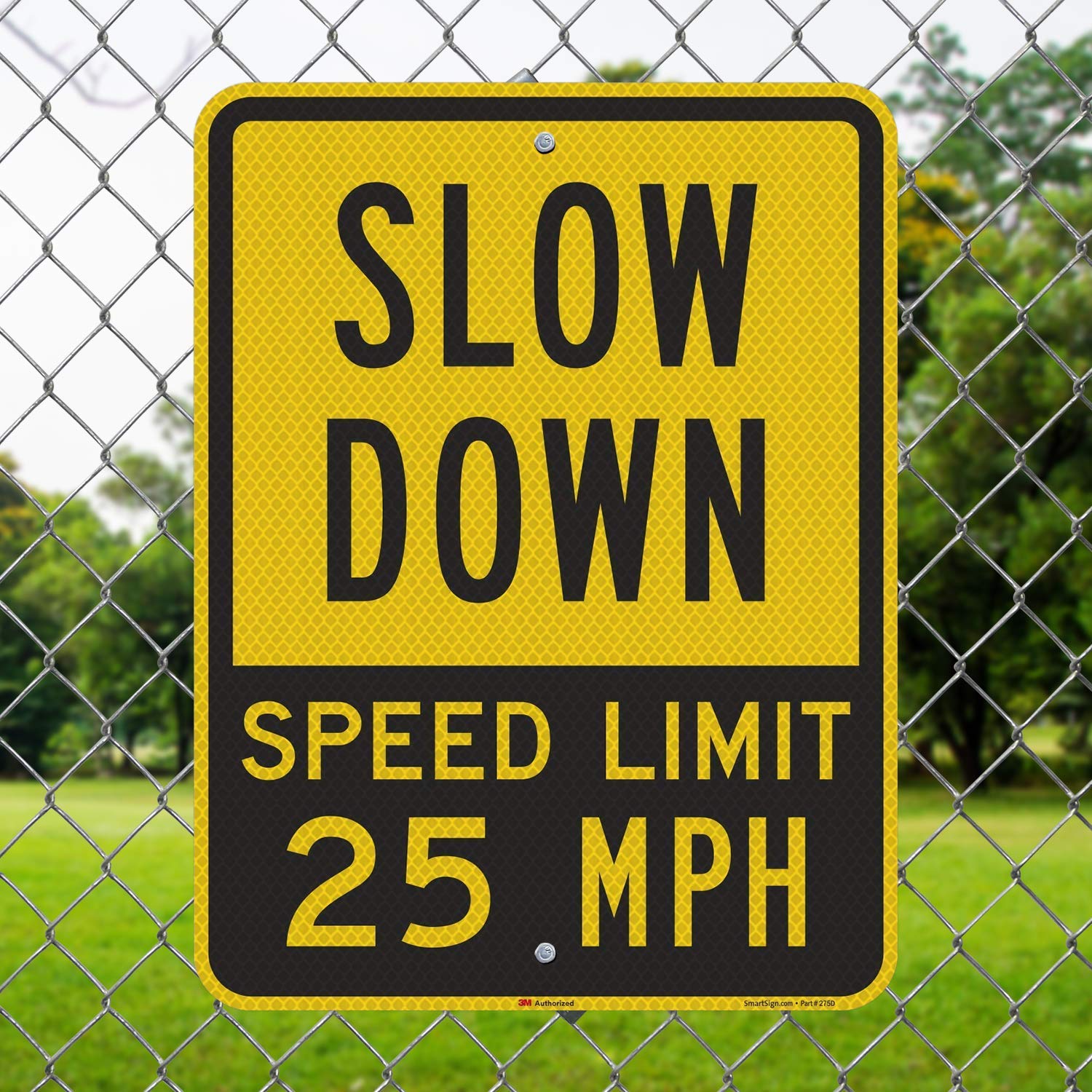 Slow Down - Speed Limit 25 MPH