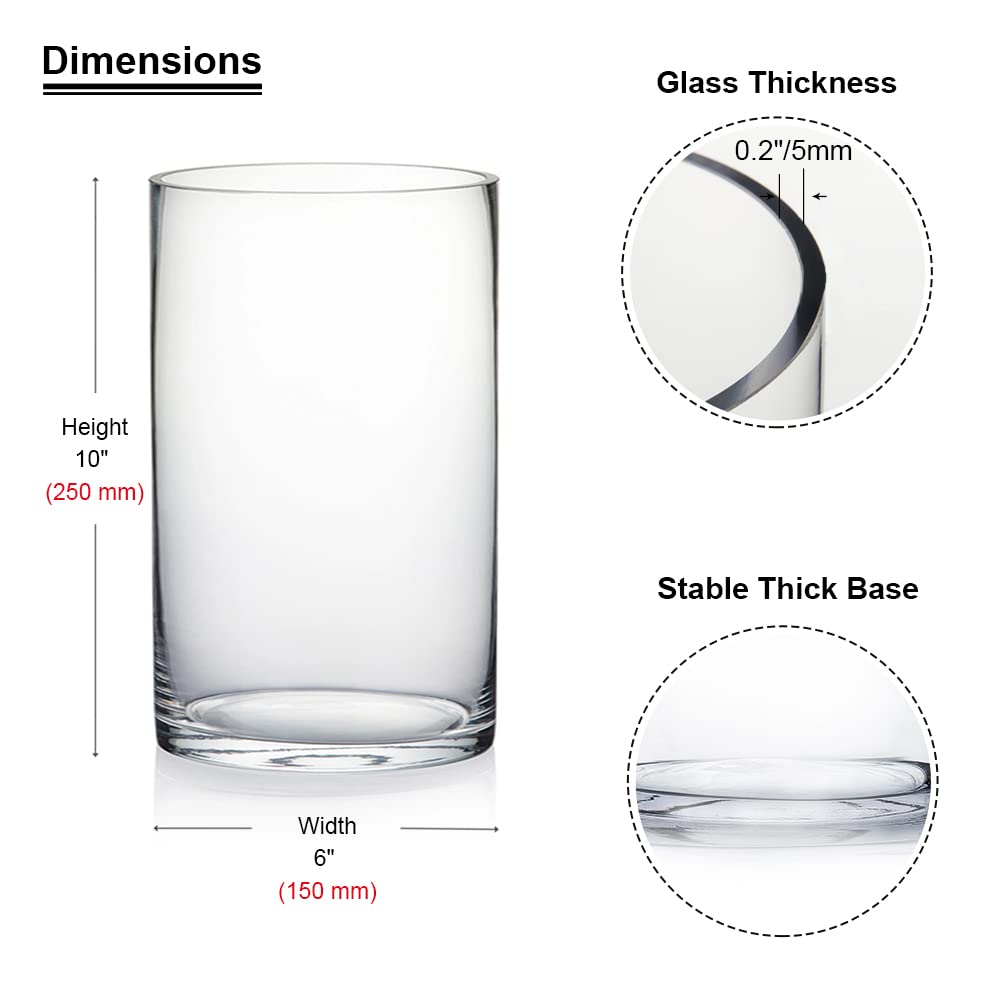 Enova Floral Clear Glass Flower Vase - 6