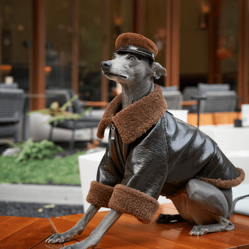 Woodland Dog Hat for Small Medium Large Dogs - Warm & Stylish Winter Pet Accessory for Outdoor Adventures & Photo Shoots