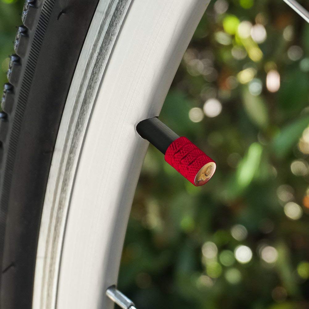 Dad Lion and Cub Motorcycle & Bicycle Valve Stem Caps - Durable Aluminum Wheel Rim Tire Accessories for Bikers - Perfect for Customizing Motorcycles, Bikes & Scooters