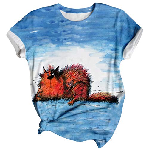 Lozeny Women's Cat Graphic Colorblock Pullover T-Shirt - Short Sleeve Crewneck Casual Blouse for Sports & Fashion | Cute Graphic Tees for Women, Streetwear, Daily Wear & Weekend Outfits