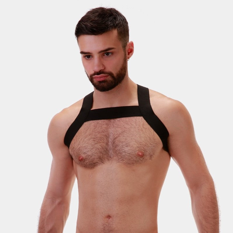 Barcode Berlin Matt Black Dog Harness - Adjustable & Reflective for Small to Medium Dogs - Perfect for Walking, Running & Outdoor Adventures