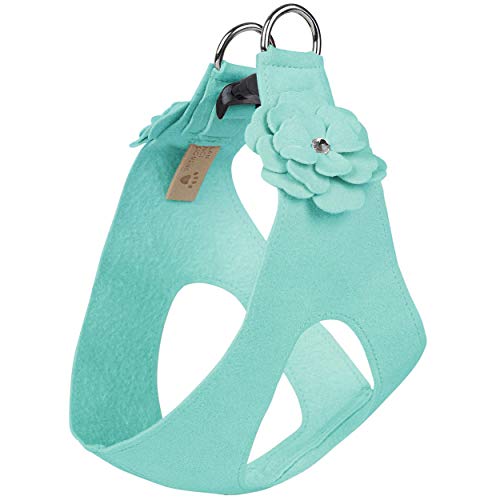 Tiffi Blue